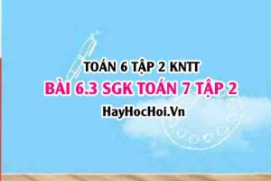 Bài 6.3 SGK Toán 7 tập 2 Kết nối tri thức